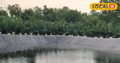 खेत तालाब 