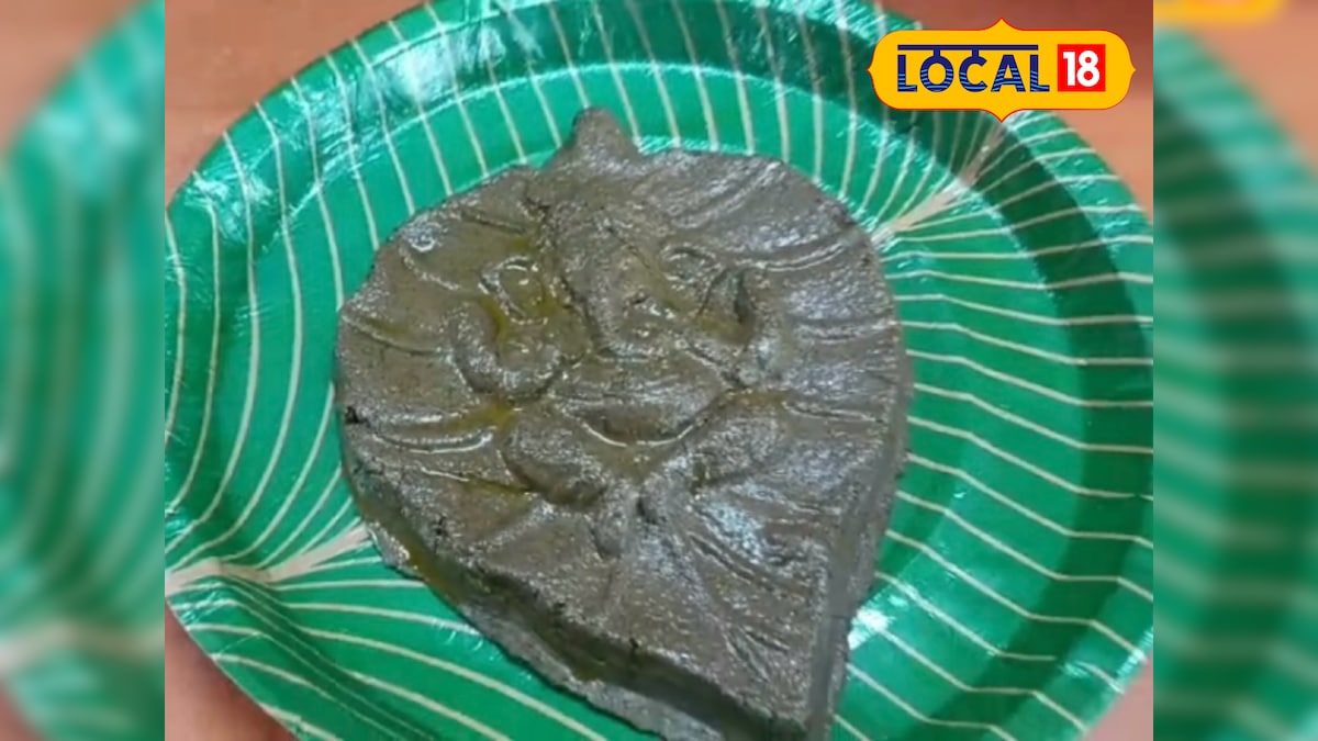 खाद-उपला छोड़े, गोबर से बनाएं ये प्रोडक्ट, छोटा निवेश में बड़ा बिजनेस आइडिया