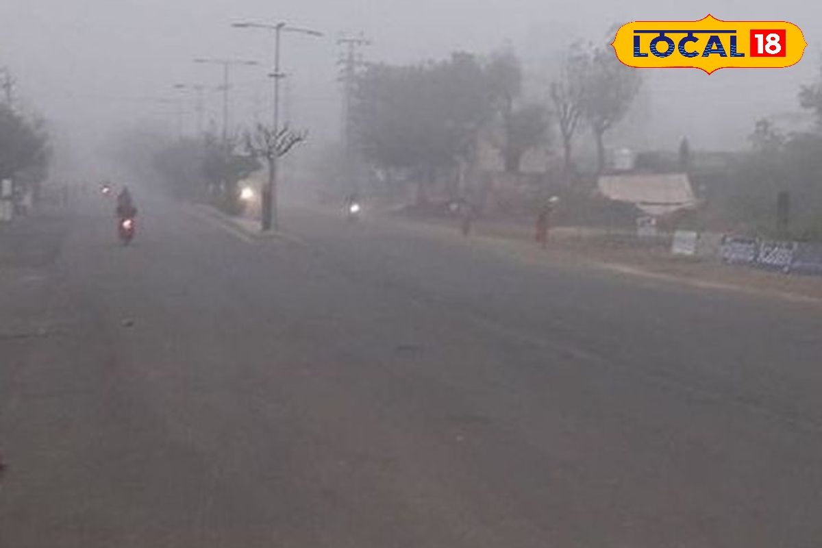 उत्तर छत्तीसगढ़ धुंध में लिपटा, मध्य हिस्सों में ठंड का प्रकोप, छाया कोहरा