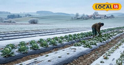 प्रतीकात्मक तस्वीर 