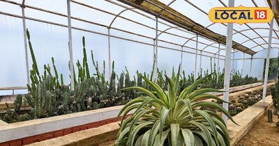 गोड्डा के कैक्टस हाउस की तस्वीर.