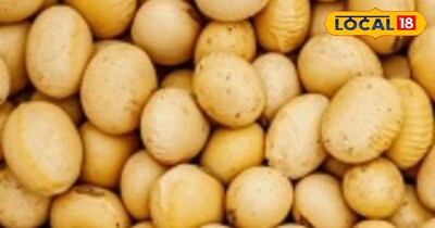 सोयाबीन सेहत में फायदेमंद।