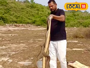 प्रतीकात्मक तस्वीर 