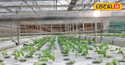 Plastic Mulching Technology