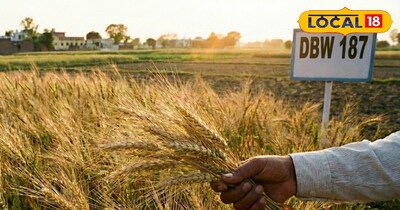 प्रतीकात्मक तस्वीर 