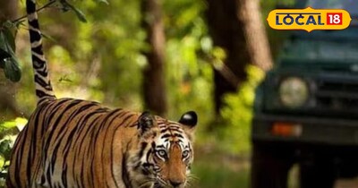 नए साल के जश्न के लिए जिम कॉर्बेट नेशनल पार्क के सारे होटल पैक हो चुके हैं