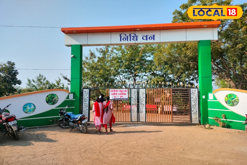 Nature getaways for New Year 2026, khargone femous Ecco tourist places, local18, khargone letest news, Madhya Pradesh hindi news,new year 2026