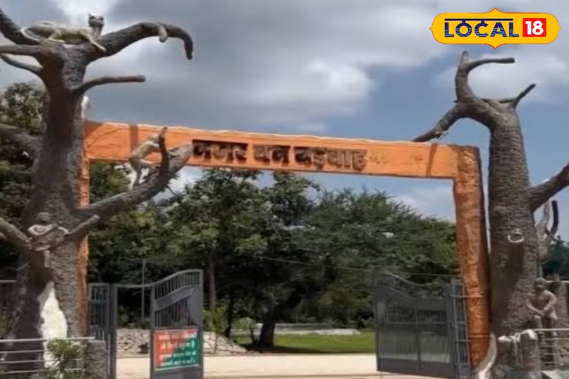 Adventure places near Khargone, Nature getaways for New Year 2026, khargone femous Ecco tourist places, local18, khargone letest news, Madhya Pradesh hindi news,new year 2026