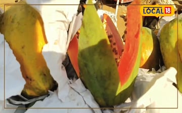 पपीता खाने के अनगिनत फायदे