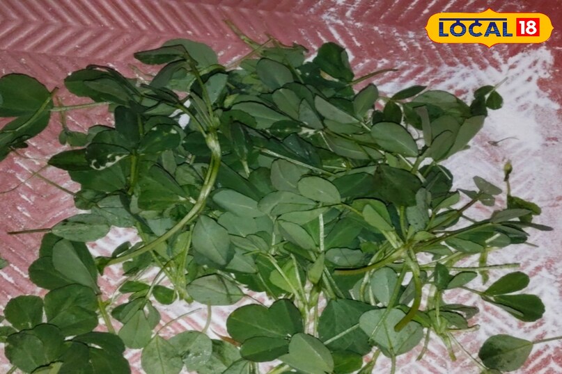 मेथी की करवाहट दूर करने के लिए पहले कर ले यह कार्य 