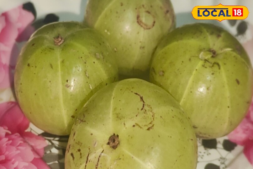 उन्होंने बताया कि आंवले का सेवन कई रूपों में किया जा सकता है. सुबह खाली पेट आंवला मुरब्बा खाना लाभकारी होता है. भोजन के साथ थोड़ा-सा आंवला अचार पाचन को बेहतर बनाता है. इसके अलावा आंवला चूर्ण या रस का सेवन भी ठंड में फायदेमंद माना जाता है. 