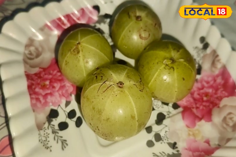 ठंड के मौसम में शरीर की रोग प्रतिरोधक क्षमता को मजबूत बनाए रखना बेहद जरूरी होता है. ऐसे में आंवला एक प्राकृतिक औषधि के रूप में काम करता है. आंवला विटामिन-सी का बेहतरीन स्रोत है, जो सर्दी-खांसी, जुकाम और संक्रमण से बचाने में मदद करता है. आयुर्वेद में आंवले को अमृत के समान माना गया है, खासकर ठंड के दिनों में इसके नियमित सेवन से शरीर को गर्मी और ऊर्जा मिलती है.