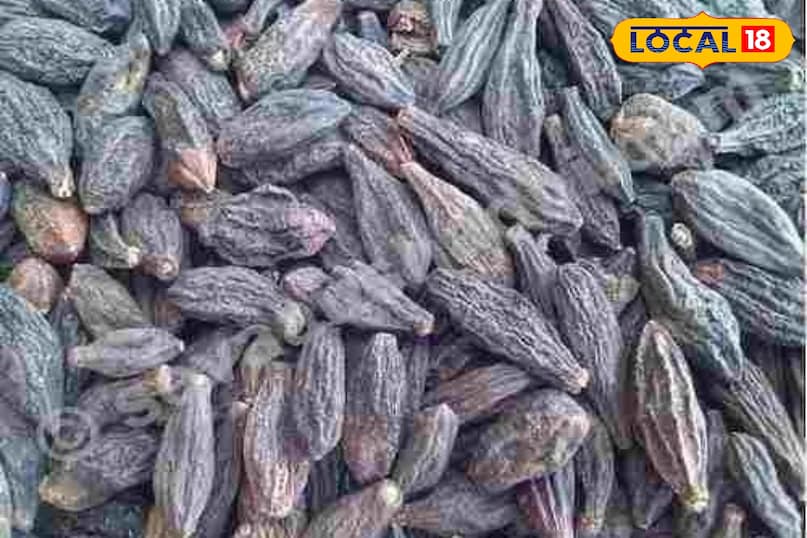 relation between mountains and harad 