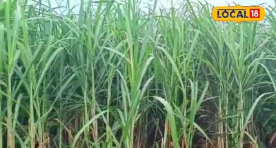 सांकेतिक फोटो.