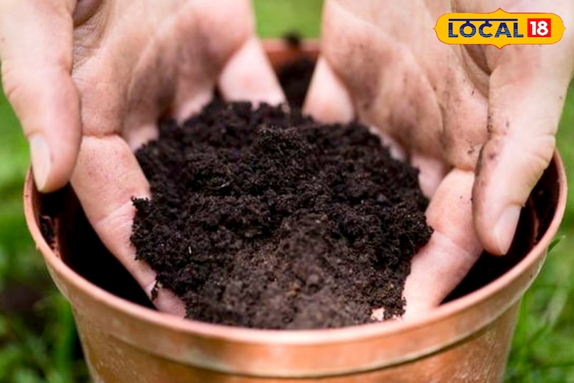 उन्होंने यह भी कहा कि चिकनी मिट्टी में पानी रुकने की समस्या होती है, जिससे फसल खराब हो सकती है. हालांकि, इसमें खाद और रेत मिलाकर इसे खेती के योग्य बनाया जा सकता है. जो सब्जी के खेती में सबसे अच्छा होता है. उन्होंने यह भी कहा कि चिकनी मिट्टी में पानी रुकने की समस्या होती है, जिससे फसल खराब हो सकती है. हालांकि, इसमें खाद और रेत मिलाकर इसे खेती के योग्य बनाया जा सकता है. जो सब्जी के खेती में सबसे अच्छा होता है.