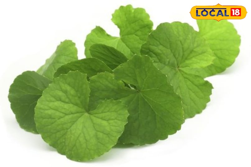 tip and tricks tip and tricks