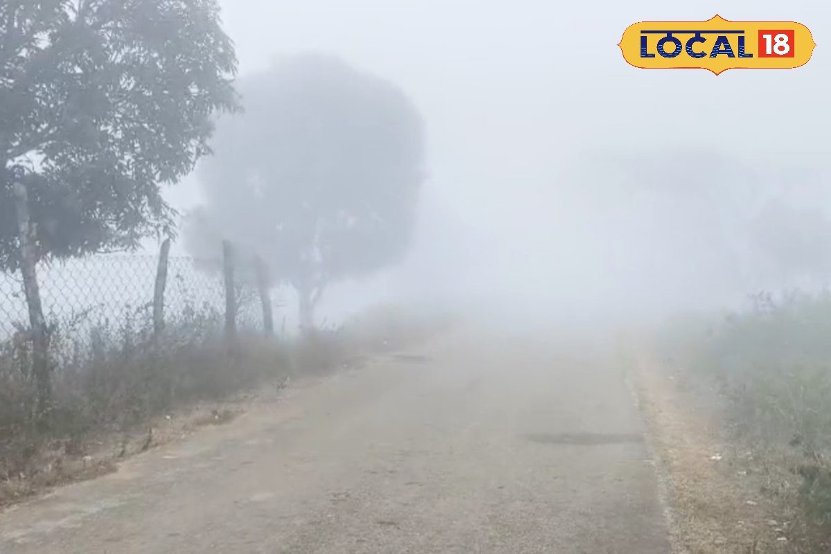 छत्तीसगढ़ में कड़ाके की ठंड का अलर्ट! सरगुजा-बिलासपुर में घना कोहरा