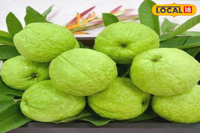 अमरूद अमरूद