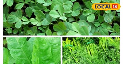 सोया, मेथी और पालक का साग.