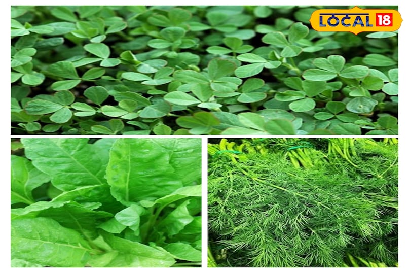 सोया, मेथी और पालक 