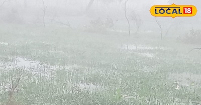 तसीमों नहर की माइनर टूटने से जलमग्न हुई फसल