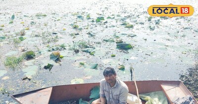 सिंघाड़ा तोड़ते किसान जयस्वरूप रैकवार 