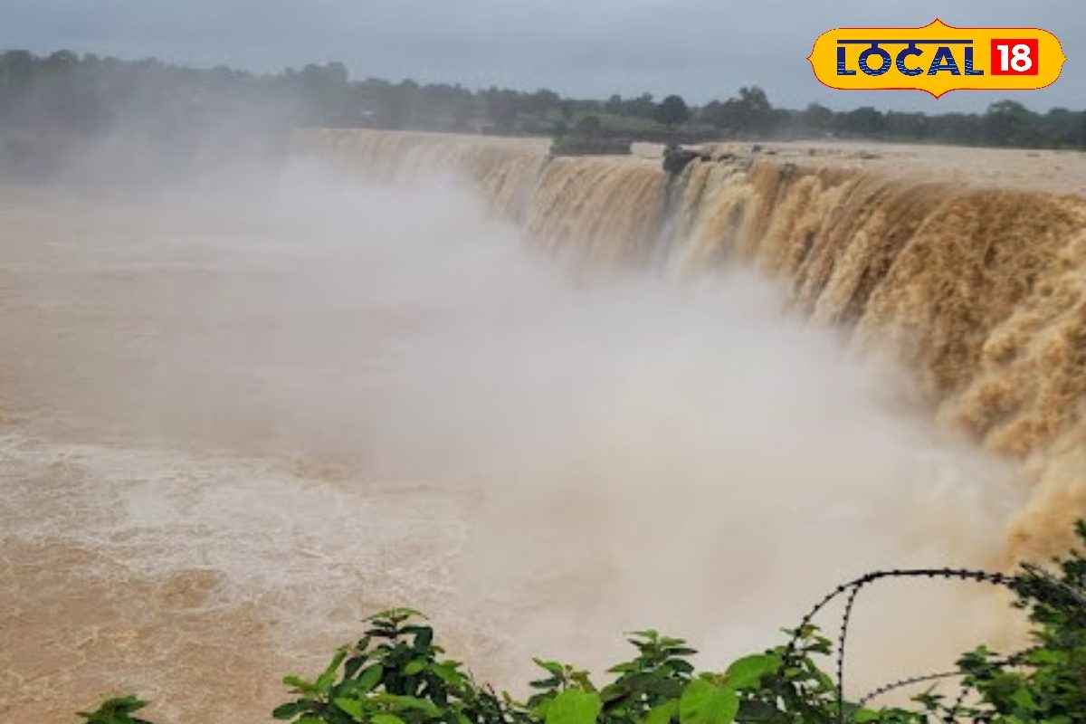 न्यू ईयर पर कम बजट में देख सकेंगे प्रकृति की खूबसूरती, बस यहां चले आइए