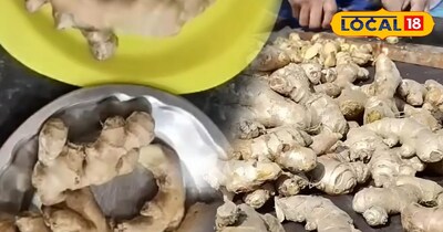 Kitchen Tips: अदरक को 20 दिन तक फ्रेश रखने का आसान तरीका.