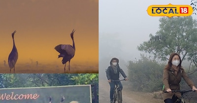 भरतपुर केवलादेव नेशनल पार्क