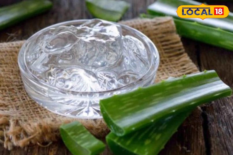 एलोवेरा जेल से पाएं ठंडक और नमी एलोवेरा जेल से पाएं ठंडक और नमी
