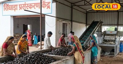 सिंघाड़े को प्रोडक्ट्स की काफी डिमांड है.