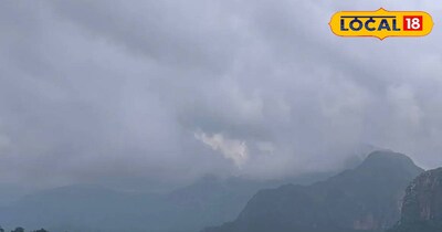 मौसम विभाग ने 14 जिलों में कोहरे का अलर्ट जारी किया 