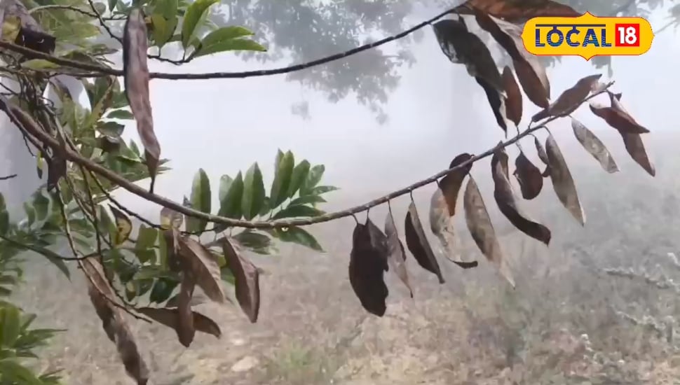 छत्तीसगढ़ में ठंड ने पकड़ी रफ्तार, तेजी से गिरा तापमान, सर्दी ने बढ़ाई मुसीबत