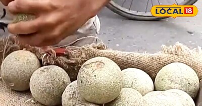 कविट फल (कैथ)