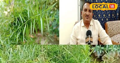 शतावरी के अद्भुत स्वास्थ्यवर्धक फायदे 