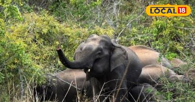 प्रतीकात्मक