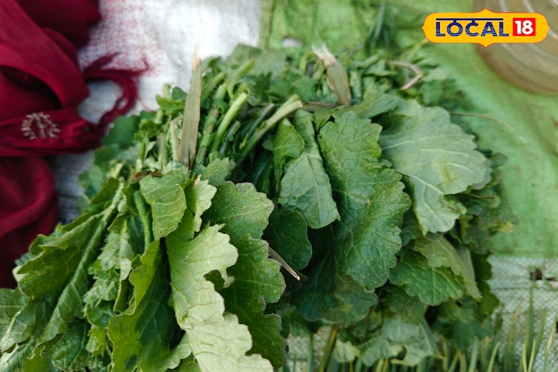 बालाघाट के आदिवासी अंचलों में लोग सरसों की खेती करते हैं. ऐसे में शुद्ध और ऑर्गेनिक सरसों की भाजियों को काफी पसंद करते हैं. इसे आलू के साथ पकाकर सब्जी बनाई जाती है, तो कुछ लोग इसकी चटनी बनाकर चावल के साथ खाते हैं. इसमें युरिक एसिड और विटामिन का भंडार होता है. बालाघाट में इसे धोकर बारिक काटा जाता है फिर लहसुन, सुखी लाल मिर्च और घरेलू मसालों में पकाकर सुखी सब्जी की तरह खाया जाता है.