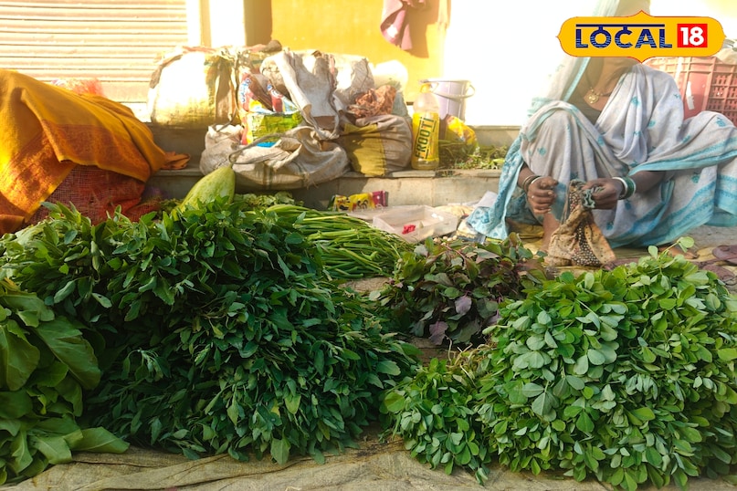 बालाघाट जिला आदिवासी बहुल जिला है, जहां पर ठंड के मौसम में तरह-तरह की भाजिया खाने को मिलती है. ये भाजियां जितनी स्वादिष्ट होती है उतनी ही पौष्टिक भी. ये भाजियां अक्सर जंगलों में और खेतों में मिलती है. खास तौर से ठंड के दिनों में कई तरह की भाजियां आती है, जो मार्केट को और भी सुंदर बना देती है. लोग इन्हें बड़े ही चाव से खाते हैं और साल भर इसका इंतजार करते हैं. ऐसे में हम आपको बता रहे है बालाघाट की फेमस पांच भाजियों के बारे में...