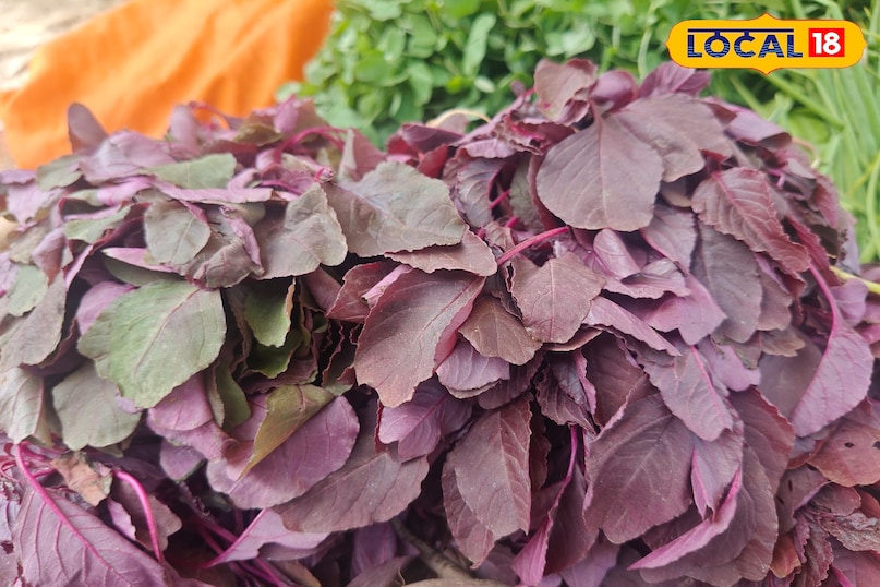 लाल भाजी जिसे कही लाल साग और लाल चौलाई के नाम से जाना जाता है. ये मध्य प्रदेश के अलावा छत्तीसगढ़ और झारखंड के आदिवासी अंचल में शौक से खाया जाता है. वहीं ये सब्जी लोगों को काफी पसंद की जाती है. बालाघाट में इसे आलू और बैंगन के साथ पकाया  जाता है. इसे हल्के रसे और चावल के साथ खाने पर हाथ लाल हो जाता है, जो खाने के शौकीनों को काफी पसंद आता है. इसमें कई तरह के पोषक तत्व पाए जाते हैं, जो खून की कमी को दूर करता है हड्डियों को मजबूत बनाता है. 