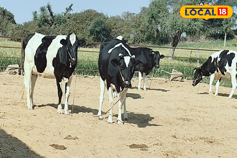 पशुपालन 