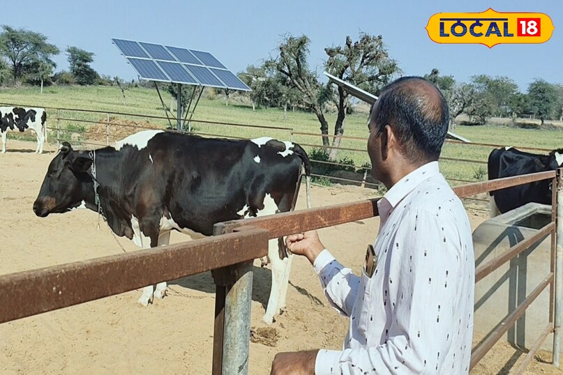 पशुपालन 