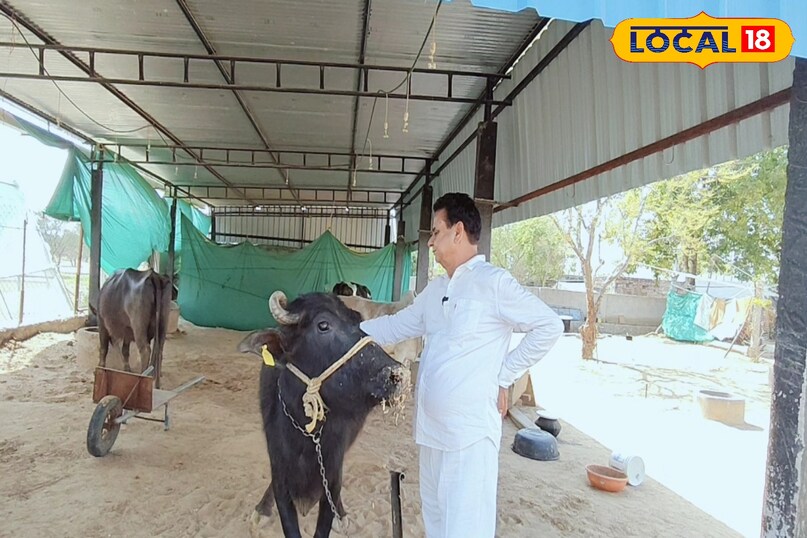 पशुपालन 