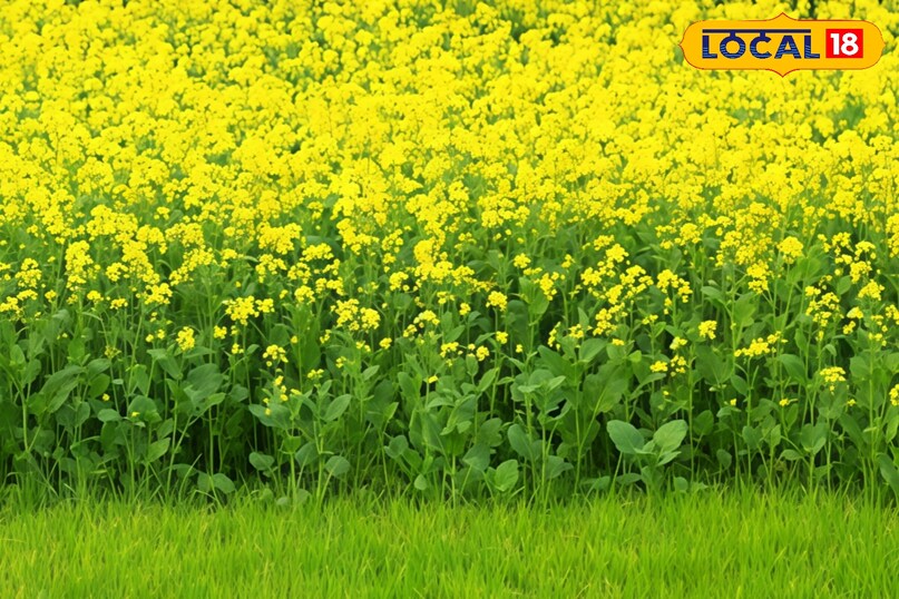 सल्फर और थायोयूरिया सल्फर और थायोयूरिया