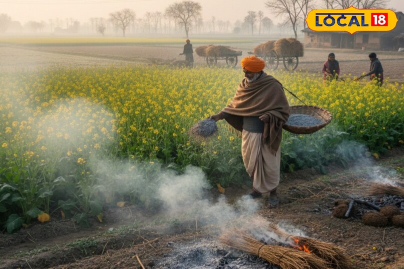 पोषण और निगरानी पोषण और निगरानी