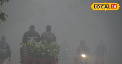 यूपी में कोहरे का कहर. 