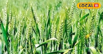 प्रतीकात्मक