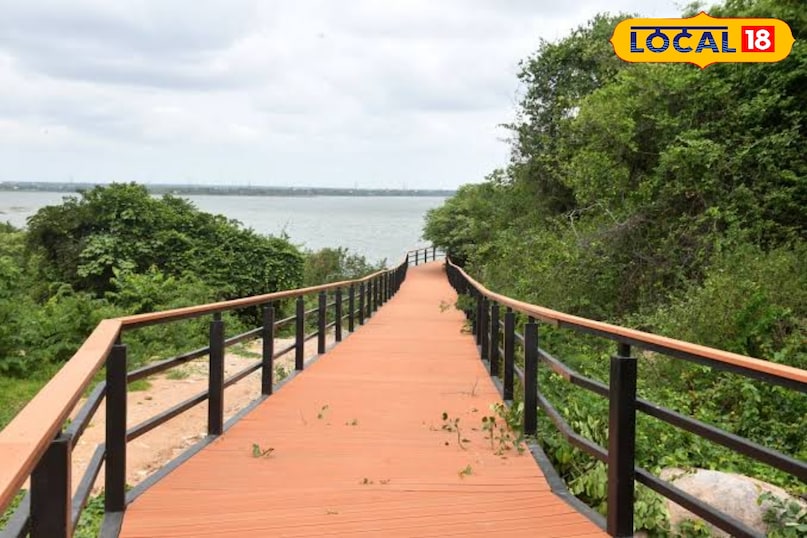 हिमायत सागर उस्मान सागर की जुड़वां झील मानी जाने वाली यह जगह काफी शांत और हरियाली से भरी है। यह फोटोग्राफी और नेचर वॉक के लिए बेहतरीन है। यहाँ अक्सर लोग लॉन्ग ड्राइव के लिए आते हैं। यहाँ खाने-पीने के ज्यादा विकल्प नहीं हैं इसलिए अपना पिकनिक बास्केट साथ ले जाना बेहतर रहेगा। 24 घंटे खुली रहती है लेकिन दिन में जाना सुरक्षित और बेहतर है। 