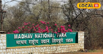 माधव टाइगर रिजर्व