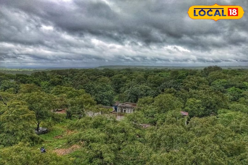 लोकल18, न्यूज18हिंदी, मध्य प्रदेश न्यूज, शिवपुरी न्यूज