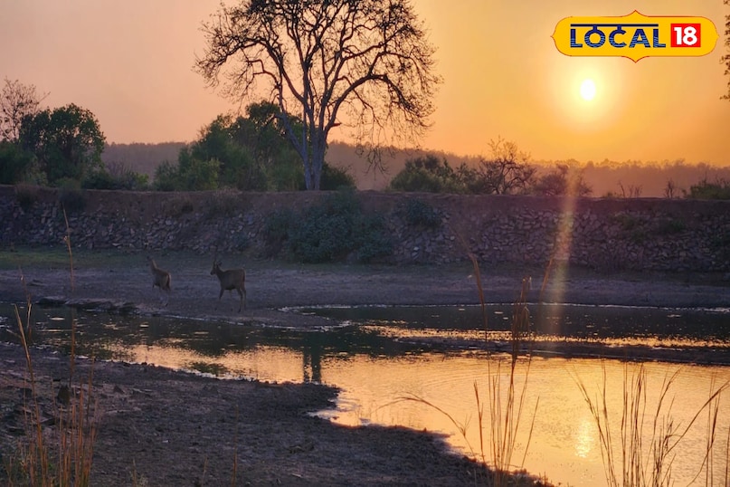 लोकल18, न्यूज18हिंदी, मध्य प्रदेश न्यूज, शिवपुरी न्यूज